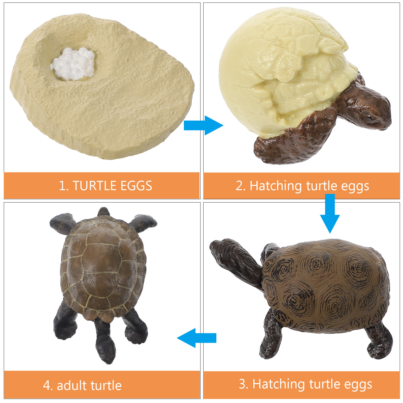 Conjunto de Modelos Realistas  - Kids Education World avaliação e preço