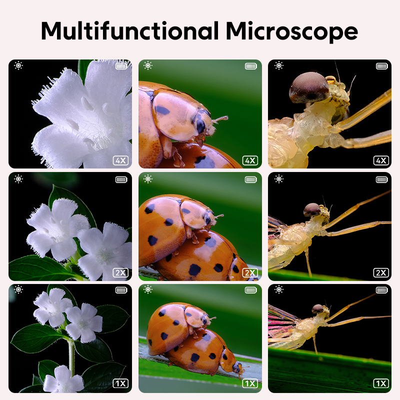 Mini microscópio óptico infant - Kids Education World avaliação e preço